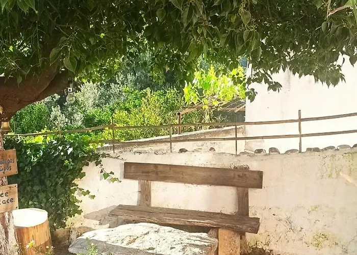 Windy Place