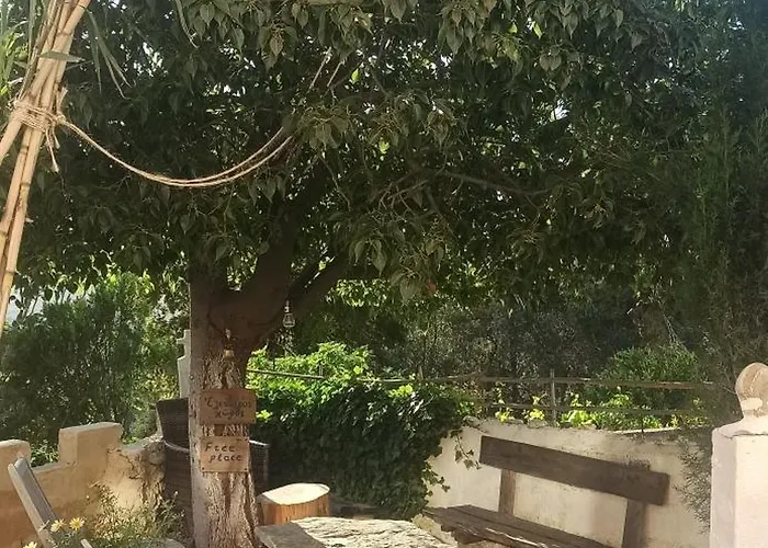 Windy Place